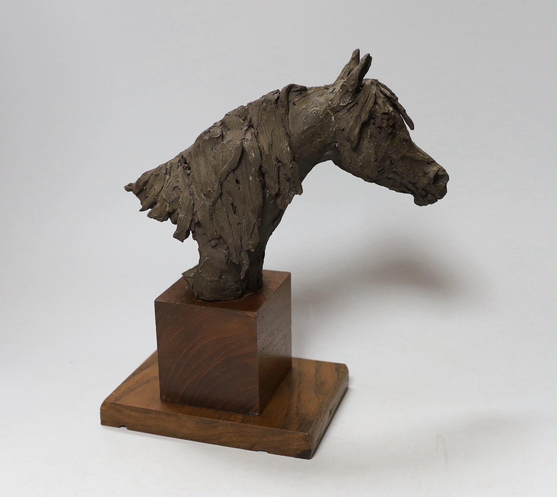 A resin horse head on wooden stand, 26cms high